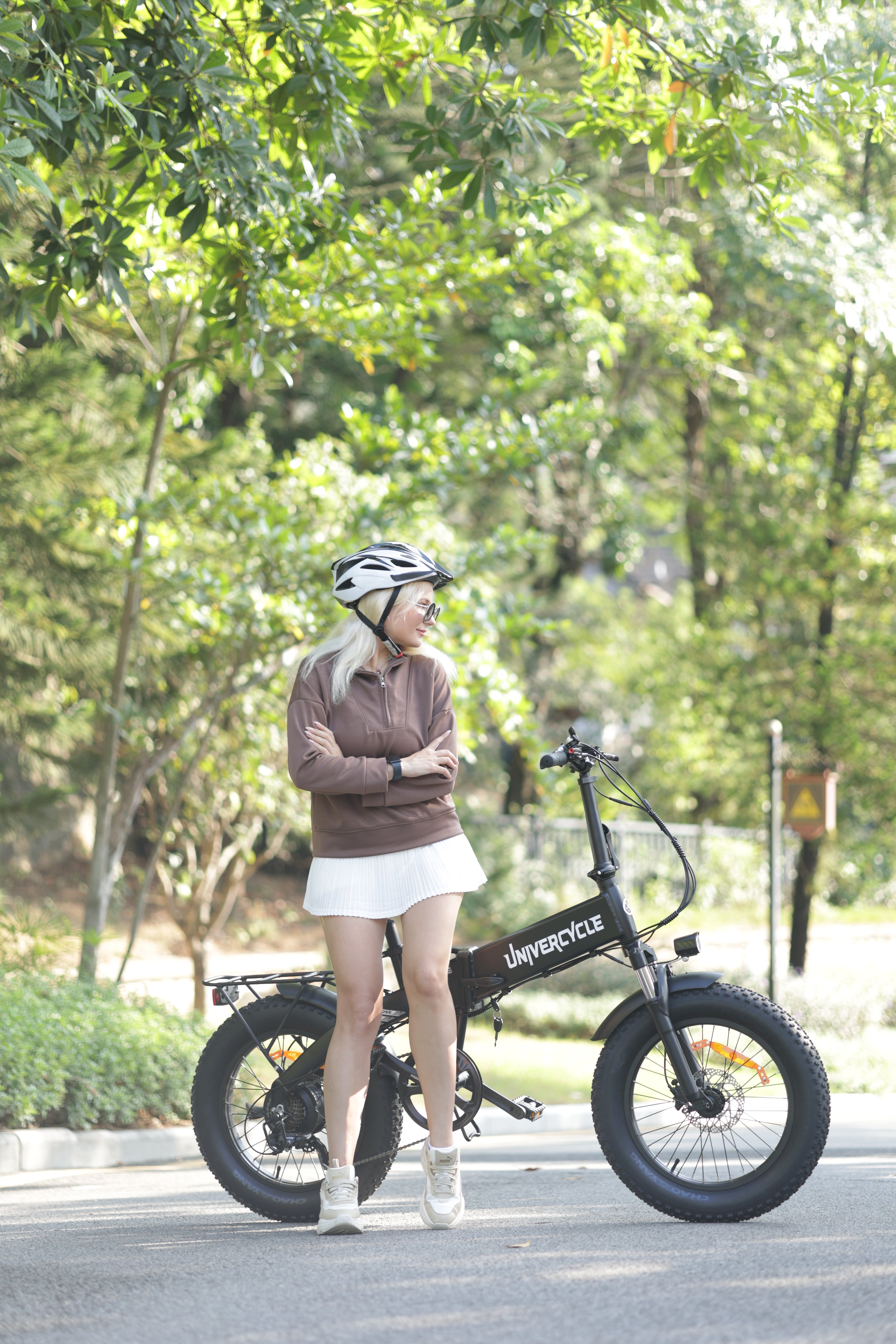 fat tire ebike