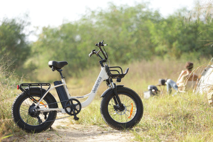 fat tire e-bike